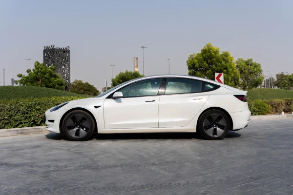 Белый Tesla Model 3 Photo 2