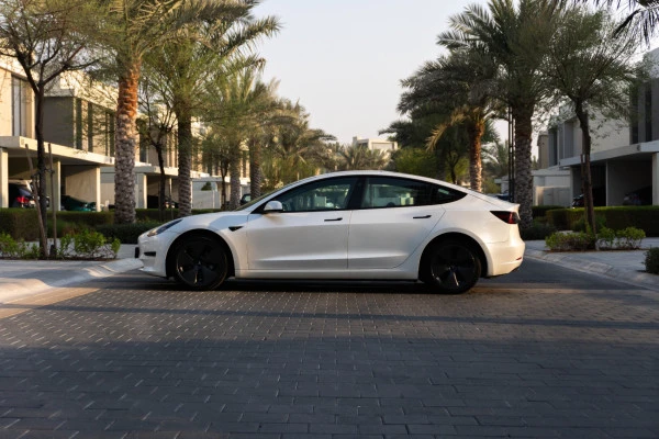 White Tesla Model 3 Photo 3