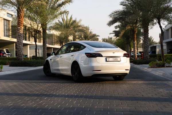 White Tesla Model 3 Photo 4
