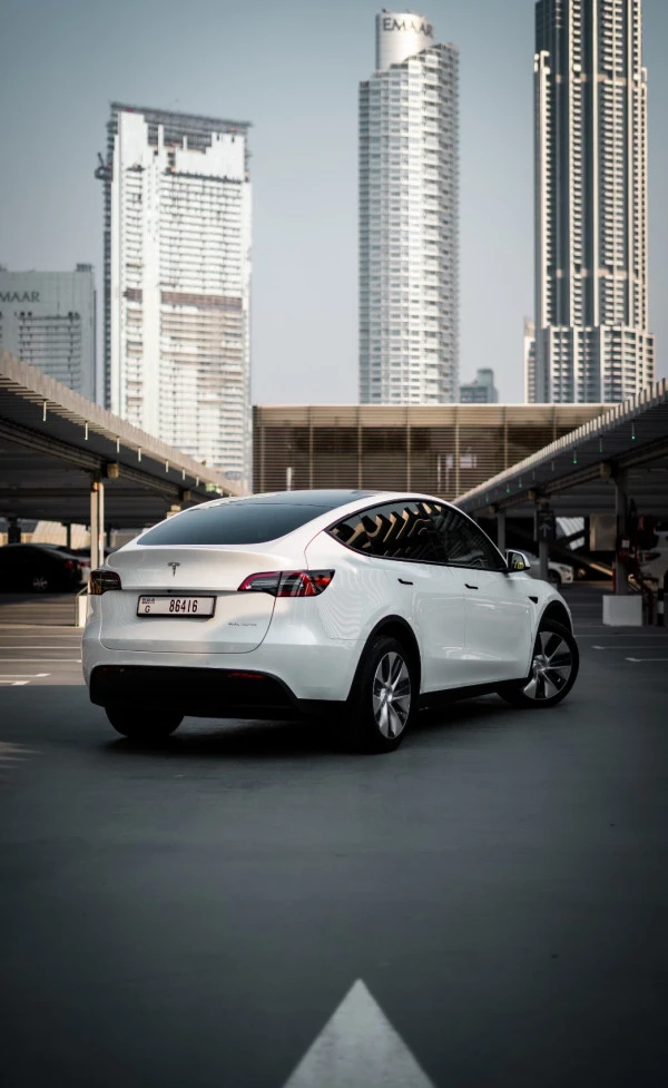 Белый Tesla Model Y Long Range Photo 2