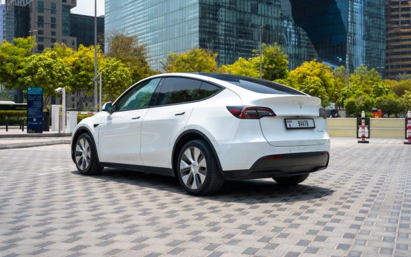 Белый Tesla Model Y Long Range Photo 6