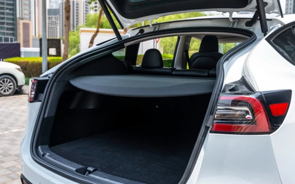 Белый Tesla Model Y Long Range Photo 8