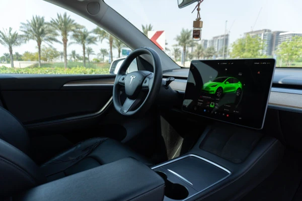 Белый Tesla Model Y Long Range Photo 5