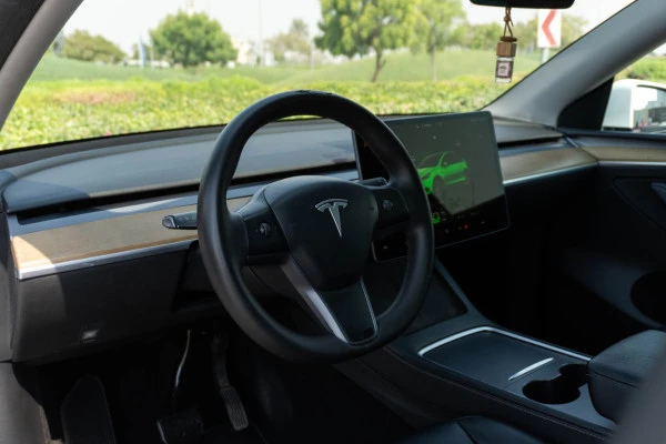 Белый Tesla Model Y Long Range Photo 6