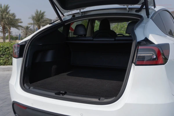 Белый Tesla Model Y Long Range Photo 10