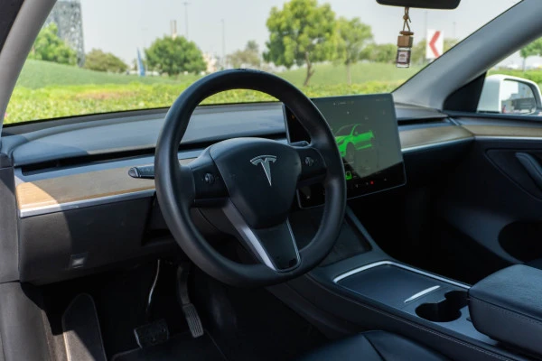 Белый Tesla Model Y Long Range Photo 11