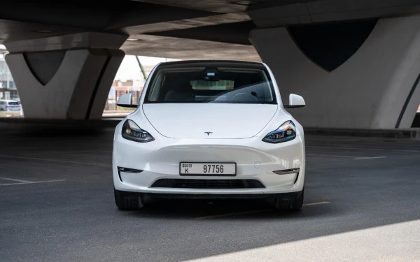 Белый Tesla Model Y Long Range Photo 2