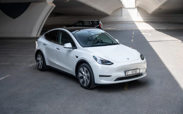 Белый Tesla Model Y Long Range Photo 3