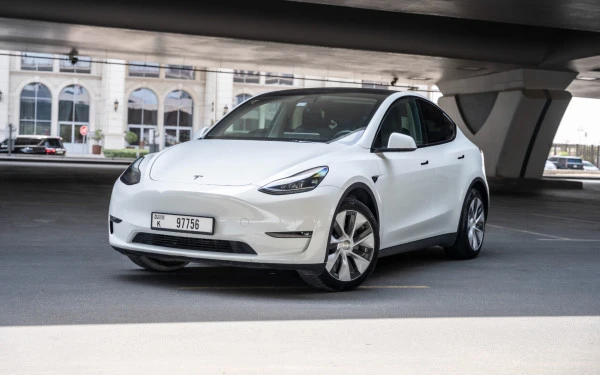 Белый Tesla Model Y Long Range Photo 7