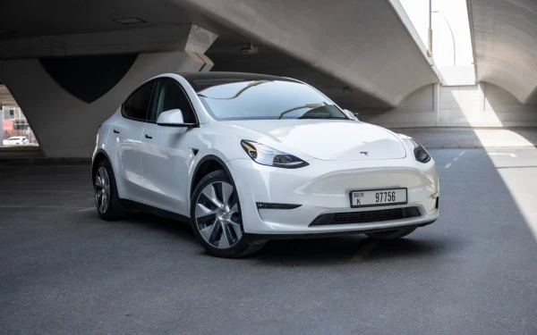Белый Tesla Model Y Long Range Photo 8