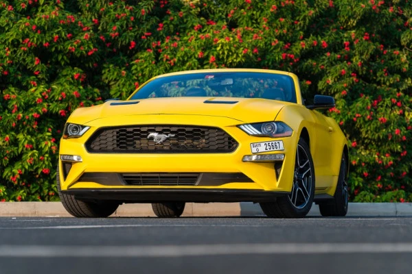 Желтый Ford Mustang cabrio Photo 4