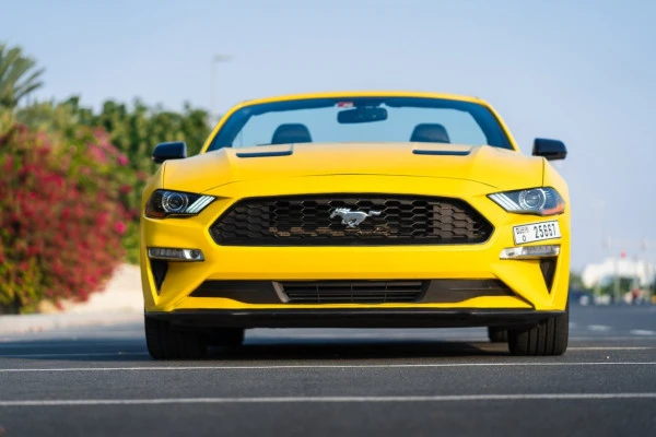 Желтый Ford Mustang cabrio Photo 6