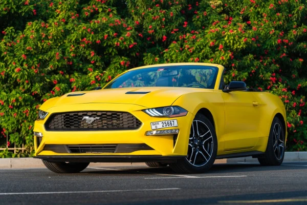 Желтый Ford Mustang cabrio Photo 8