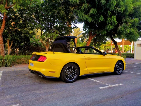 Желтый Ford Mustang cabrio Photo 2