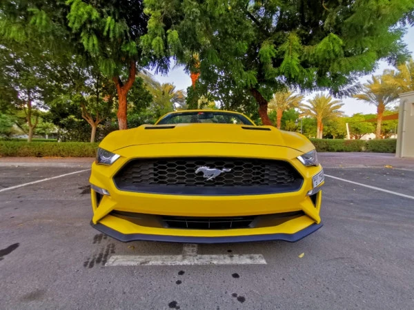 Желтый Ford Mustang cabrio Photo 3
